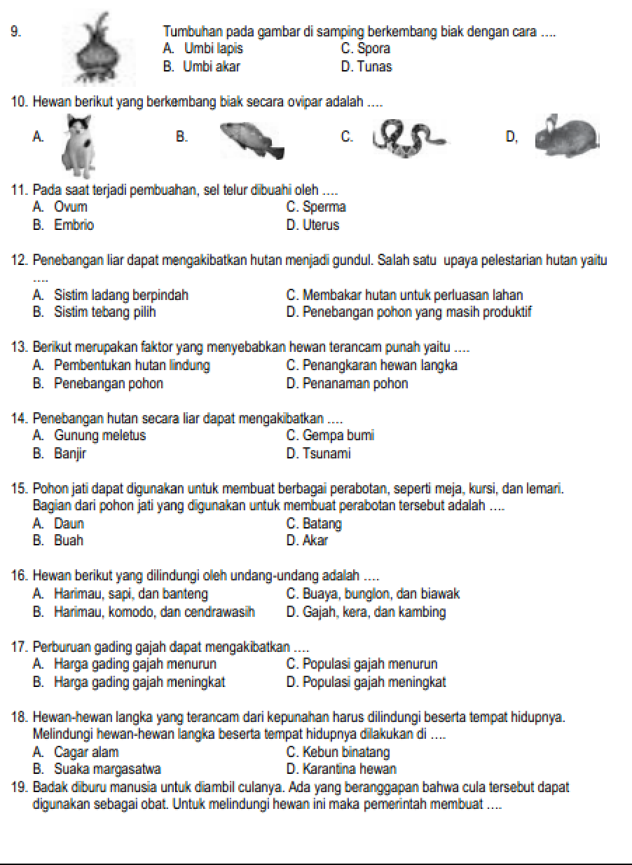 Soal Ipa Kelas 6 Semester 1 2021 Dalchaebi