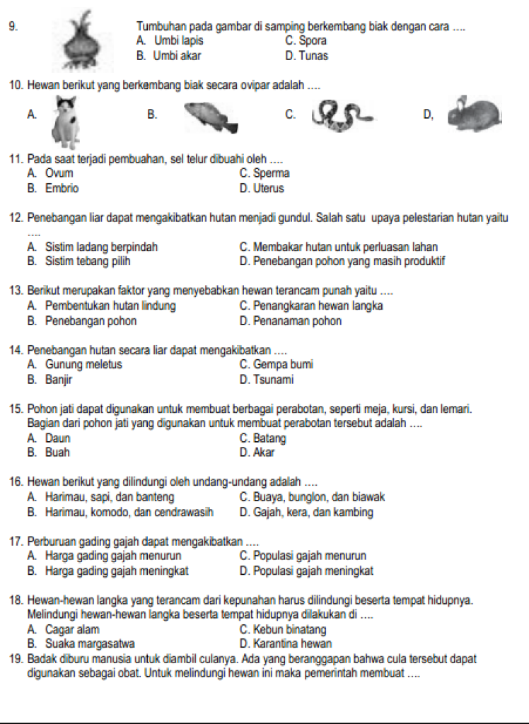 Bank Soal UAS IPA Kelas 6 Semester 2 dari SDN Candi I Karangmojo, 5 Fakta Mengejutkan yang Wajib Tahu